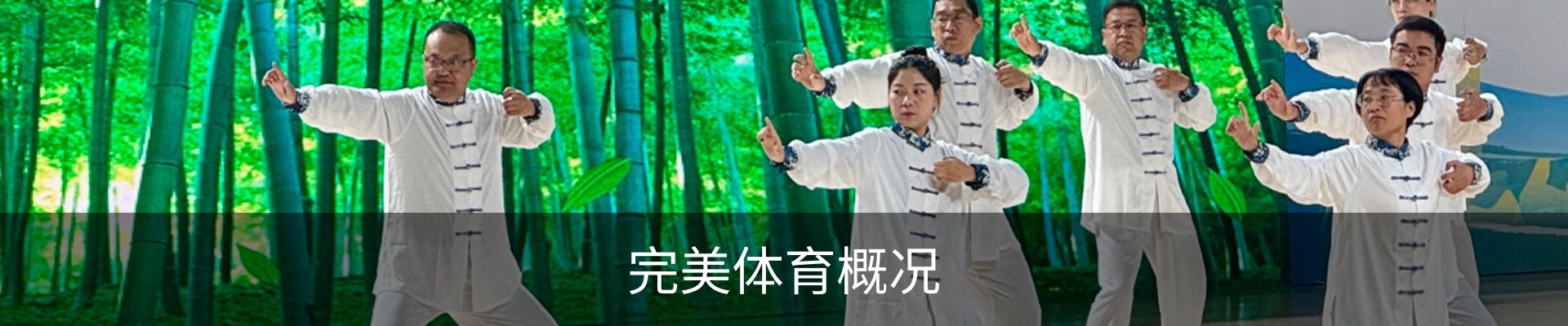 完美体育概况